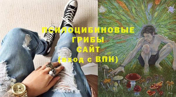 Альфа ПВП Алексин