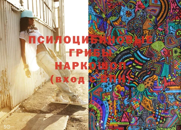 бошки Абаза